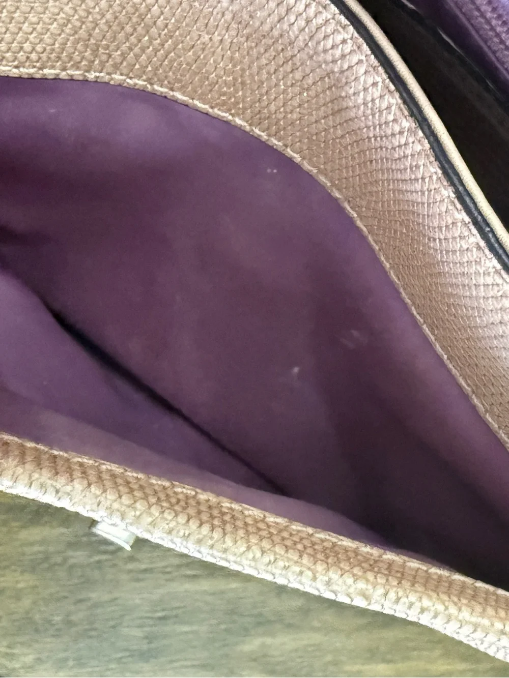 Coach Satchel Bag Beige Gold Shimmer Glitter Buff 26324 Madison Sadie Flap